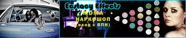 сатива Беломорск