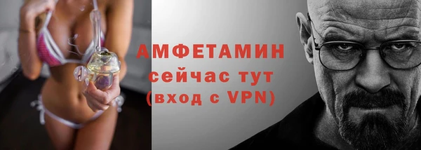 сатива Беломорск