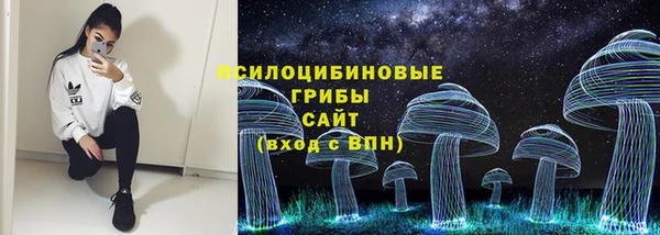 сатива Беломорск