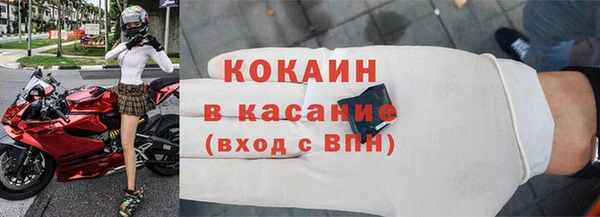 сатива Беломорск