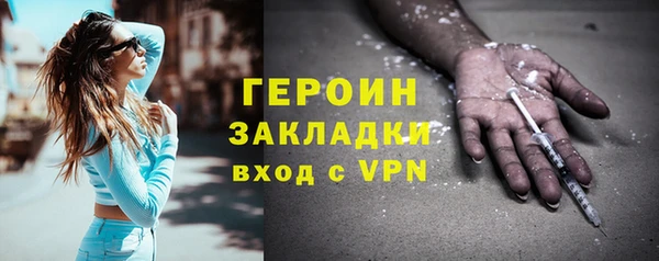 сатива Беломорск