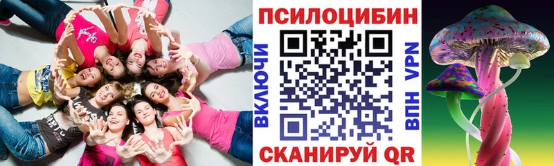 магазин продажи наркотиков  Вышний Волочёк  Галлюциногенные грибы Psilocybine cubensis 